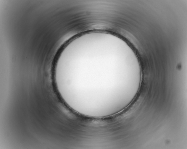 X0000103311026200809191913