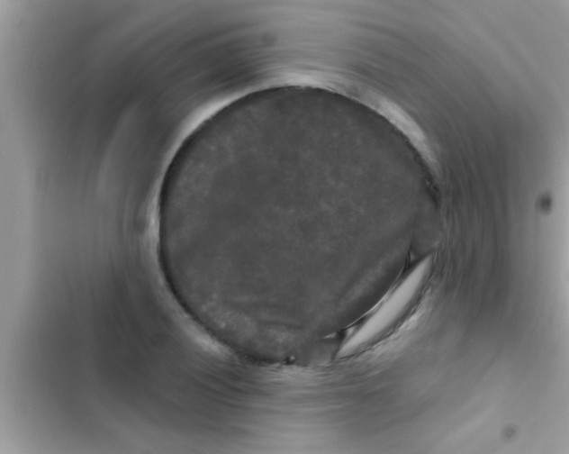 X0000103311028200809191913