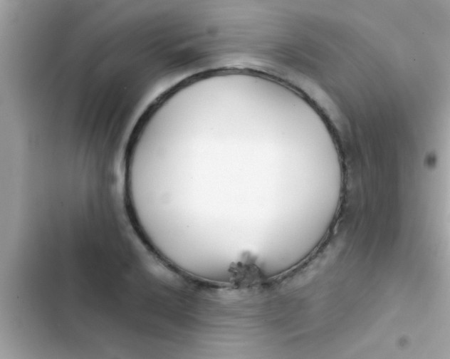 X0000103311032200809191913