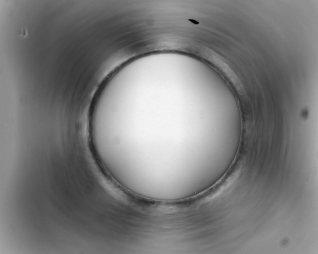 X0000103311034200809191913