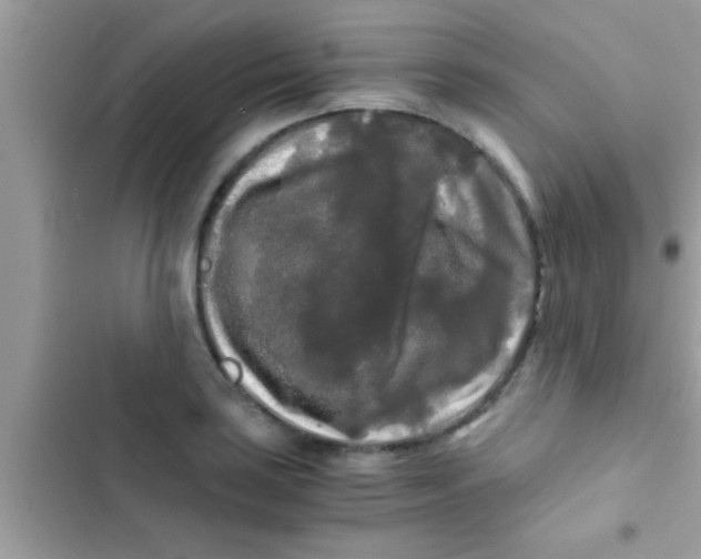 X0000103311035200809191913