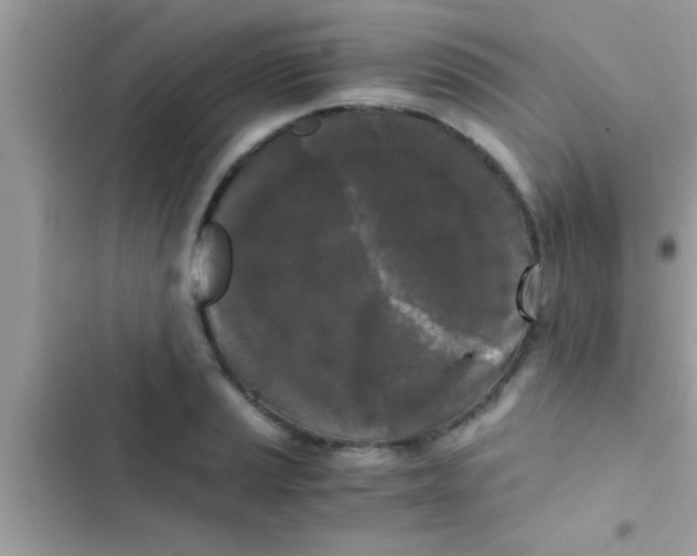 X0000103311037200809191913