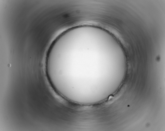 X0000103311038200809191913