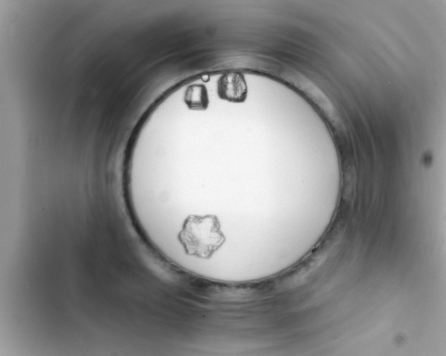 X0000103311039200809191913