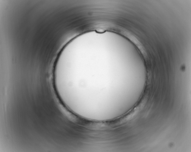 X0000103311042200809191913