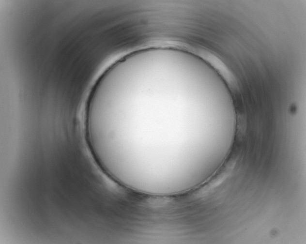 X0000103311046200809191913