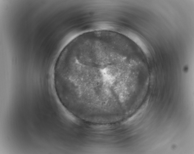 X0000103311047200809191913