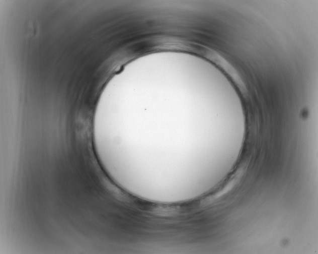 X0000103311049200809191913