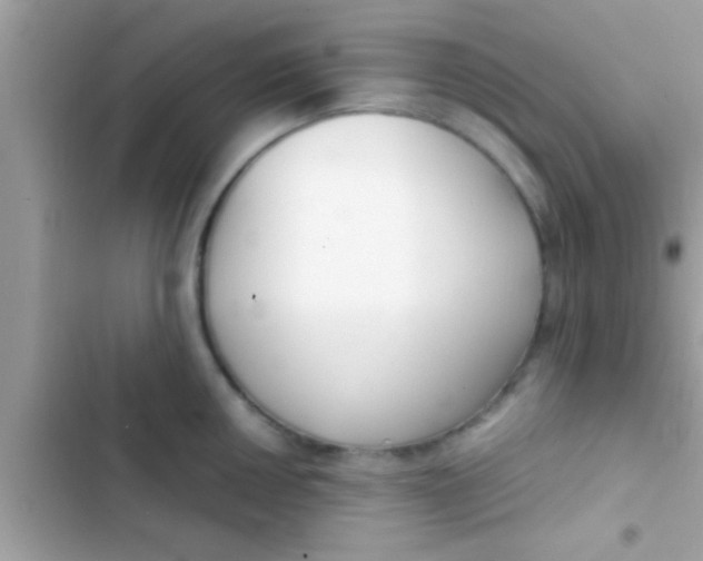 X0000103311050200809191913