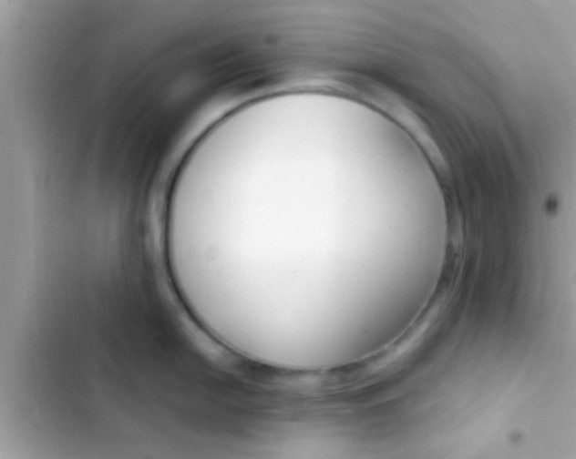 X0000103311054200809191913