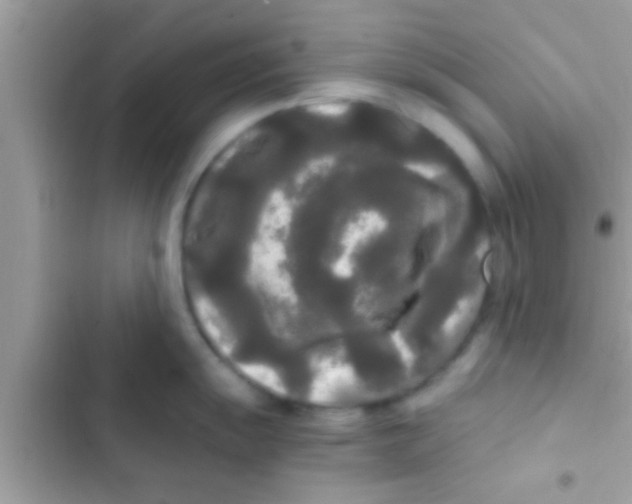 X0000103311055200809191913