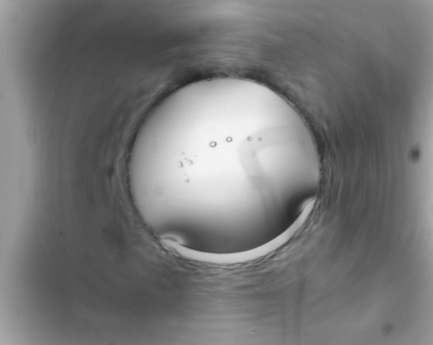 X0000103311057200809191913