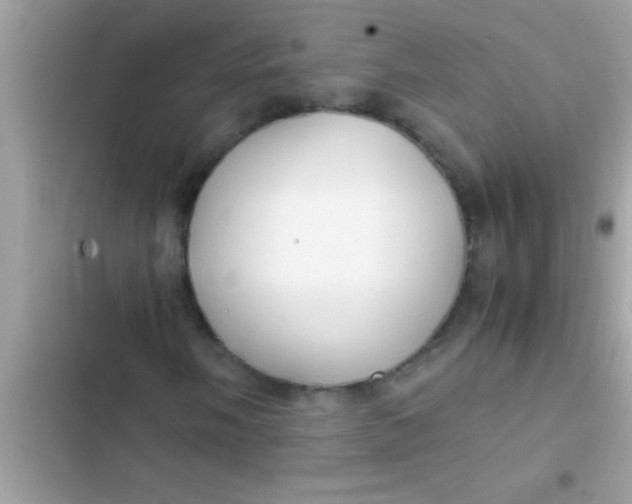 X0000103311058200809191913
