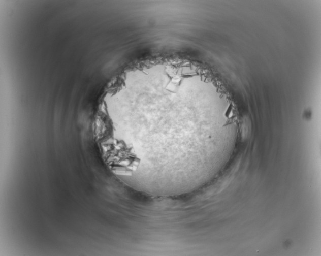X0000103311059200809191913