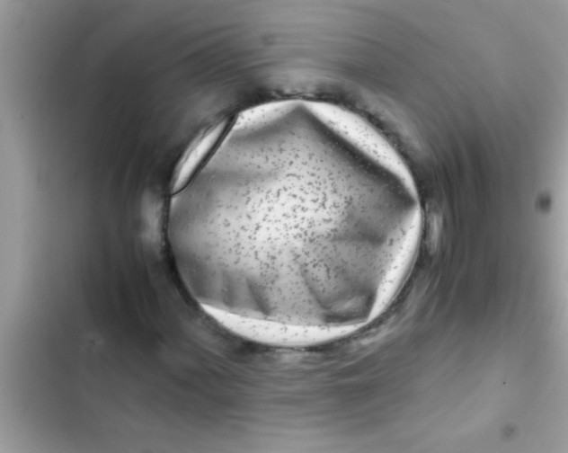 X0000103311060200809191913