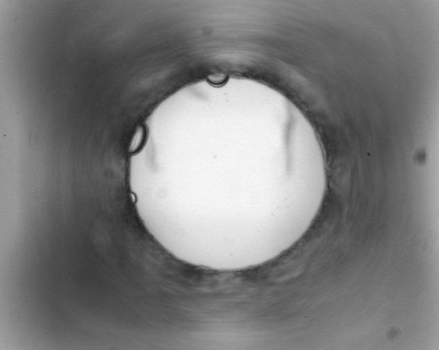X0000103311061200809191913
