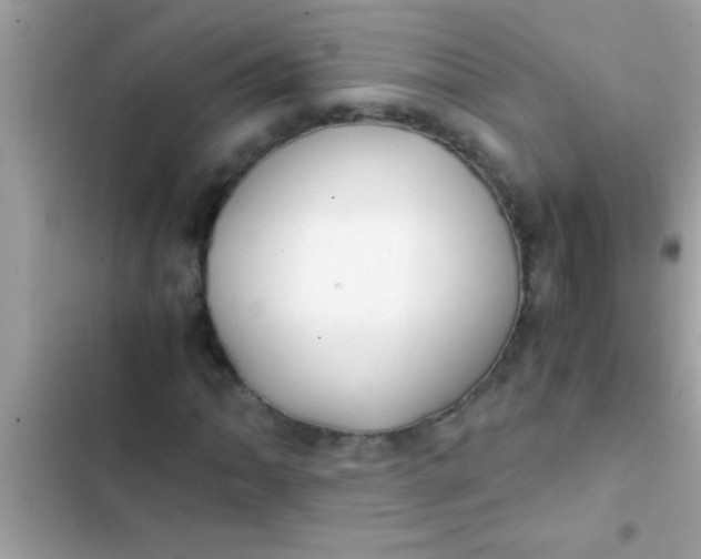 X0000103311062200809191913