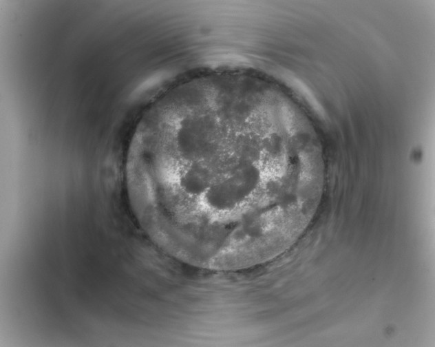 X0000103311063200809191913