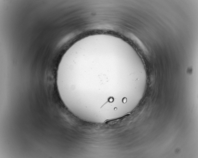 X0000103311064200809191913