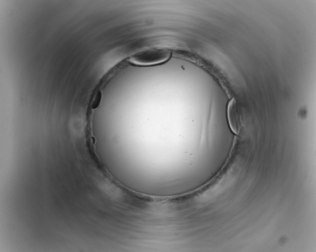 X0000103311065200809191913