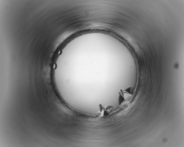 X0000103311066200809191913