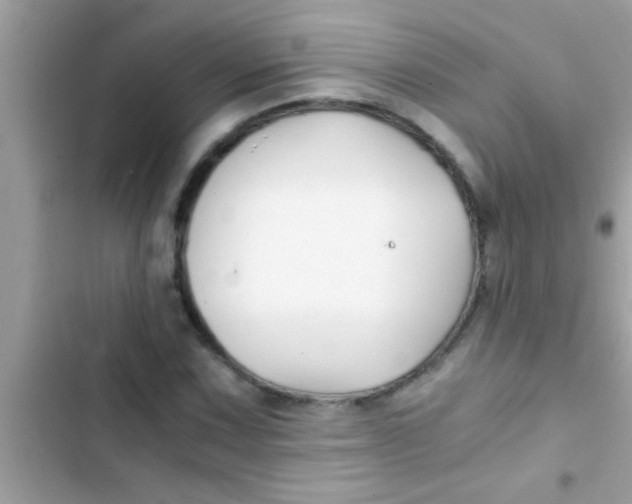 X0000103311067200809191913