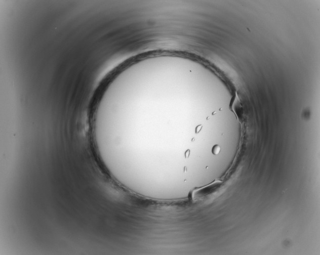 X0000103311070200809191913