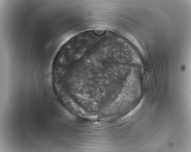 X0000103311071200809191913