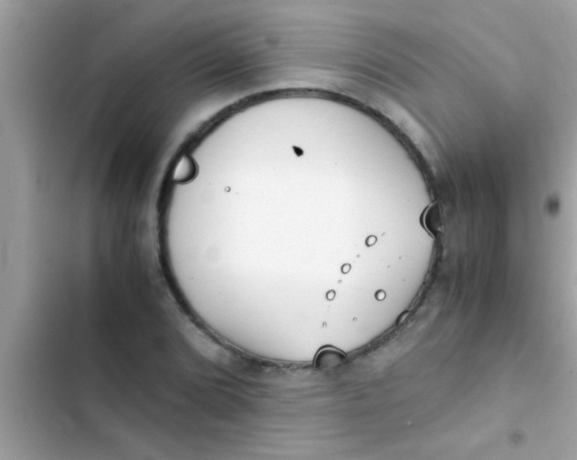 X0000103311072200809191913