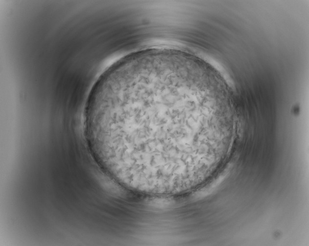 X0000103311074200809191912