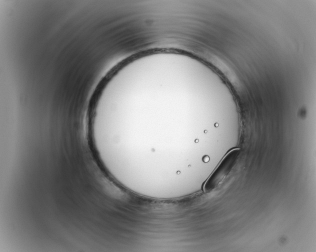 X0000103311076200809191912