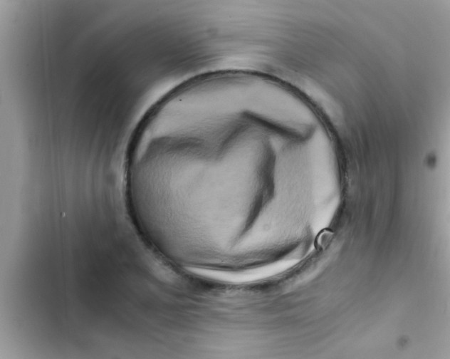 X0000103311077200809191912