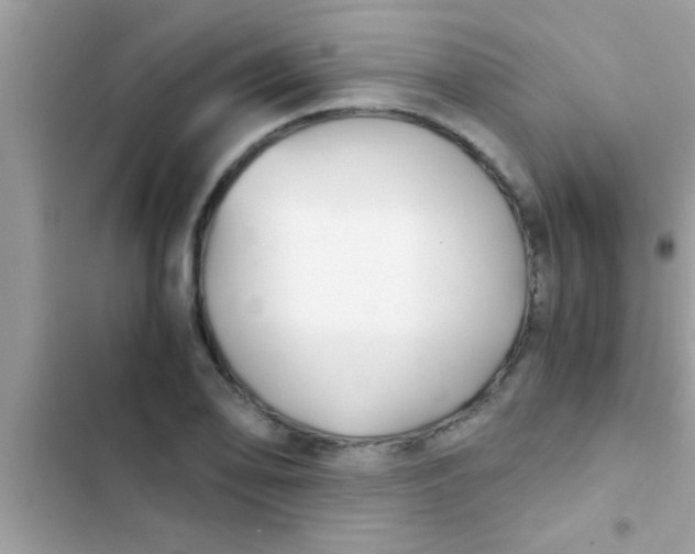 X0000103311078200809191912