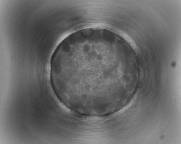 X0000103311079200809191912