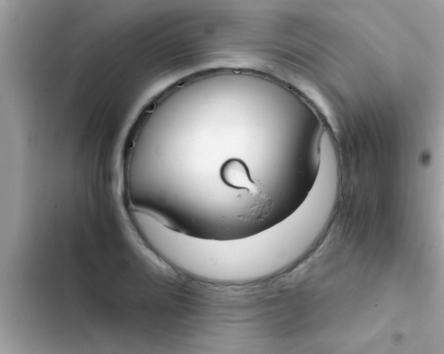 X0000103311080200809191912