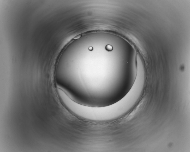 X0000103311081200809191912