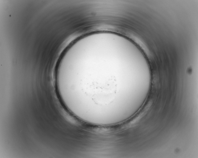 X0000103311082200809191912