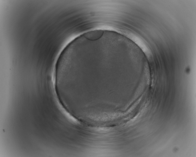 X0000103311084200809191912
