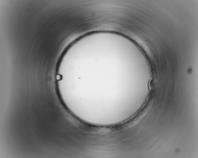 X0000103311085200809191912