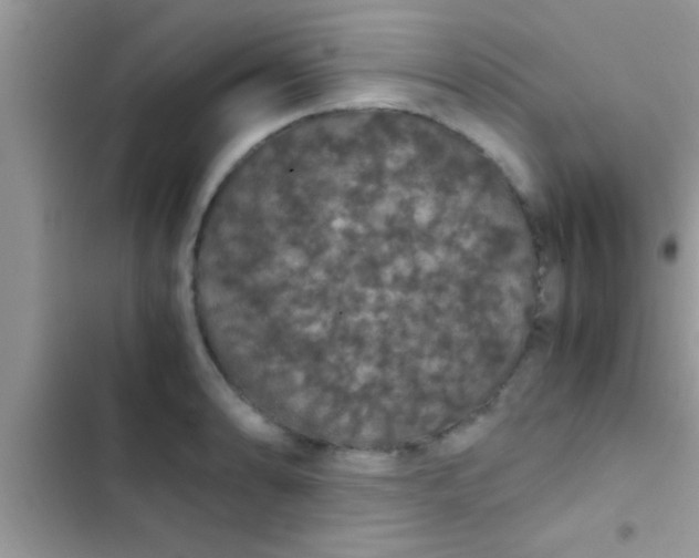 X0000103311086200809191912