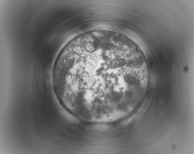 X0000103311090200809191912