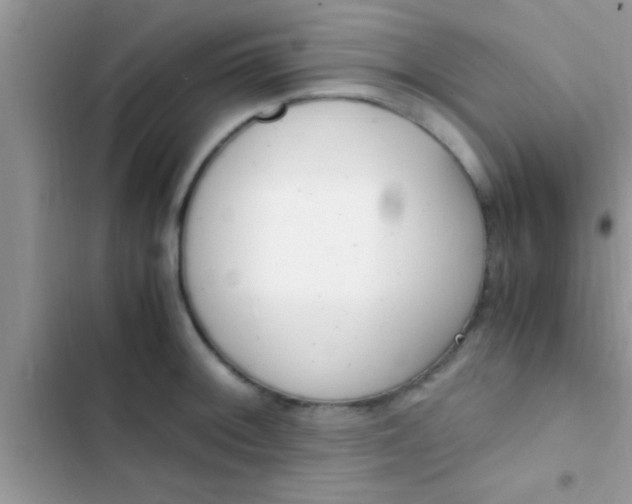 X0000103311092200809191912