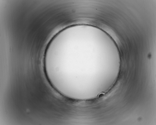 X0000103311093200809191912