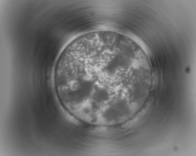 X0000103311098200809191912