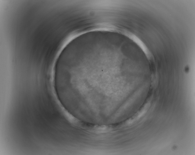 X0000103311099200809191912