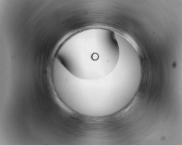 X0000103311100200809191912