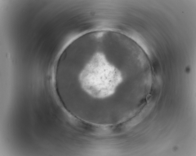 X0000103311101200809191912