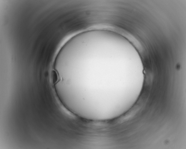 X0000103311102200809191912