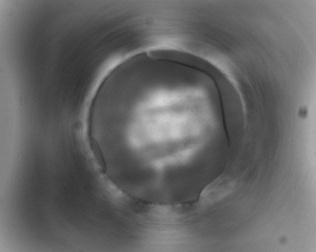 X0000103311104200809191912