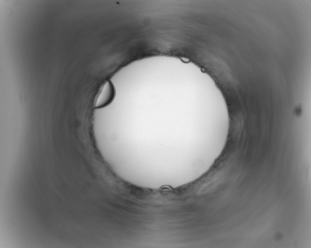X0000103311105200809191911